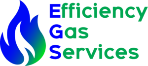 Efficiency Gas Services logo